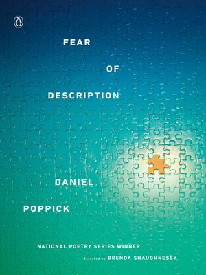 cover image of Fear of Description